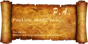 Pavlics Antónia névjegykártya